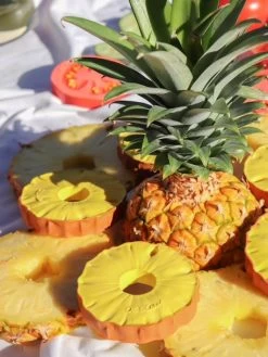 Ananas L'Ananas - OLI & CAROL Jaune - Oli Et Carol 10 Ananas L'Ananas - OLI & CAROL Jaune - Oli Et Carol -Périphériques Pour Enfants ananas lananas oli carol 4