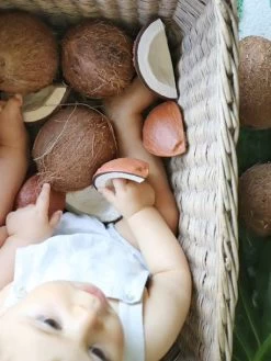 Jouet De Dentition Coco La Noix De Coco - OLI & CAROL Marron - Oli Et Carol 11 Jouet De Dentition Coco La Noix De Coco - OLI & CAROL Marron - Oli Et Carol -Périphériques Pour Enfants jouet de dentition coco la noix de coco oli carol 5