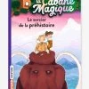 La Cabane Magique - T.6 - Le Sorcier De La Préhistoire - BAYARD JEUNESSE Blanc - Hachette