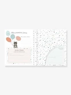 Livre De Naissance - Il était Une Fois Bébé LAROUSSE Bleu - Hachette 9 Livre De Naissance - Il était Une Fois Bébé LAROUSSE Bleu - Hachette -Périphériques Pour Enfants livre de naissance il etait une fois bebe larousse 3