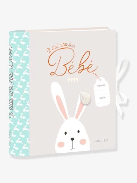 Livre De Naissance - Il était Une Fois Bébé LAROUSSE Bleu - Hachette 1 Livre De Naissance - Il était Une Fois Bébé LAROUSSE Bleu - Hachette