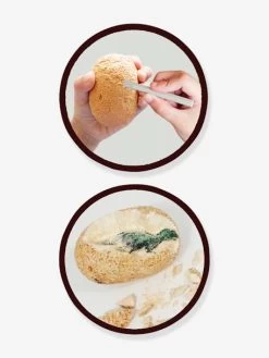 Maxi Pack 12 Oeufs Dinosaures - BUKI Orange - Buki -Périphériques Pour Enfants maxi pack 12 oeufs dinosaures buki 2