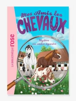 Mes Amis Les Chevaux - T.12 - Mystère Au Centre équestre - HACHETTE Blanc - Hachette