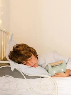 Mon Petit Morphée - Box De Méditation Enfant - MORPHEE Vert Anis - Morphee -Périphériques Pour Enfants mon petit morphee box de meditation enfant morphee 2